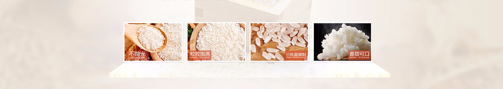 白山市某某化工有限公司